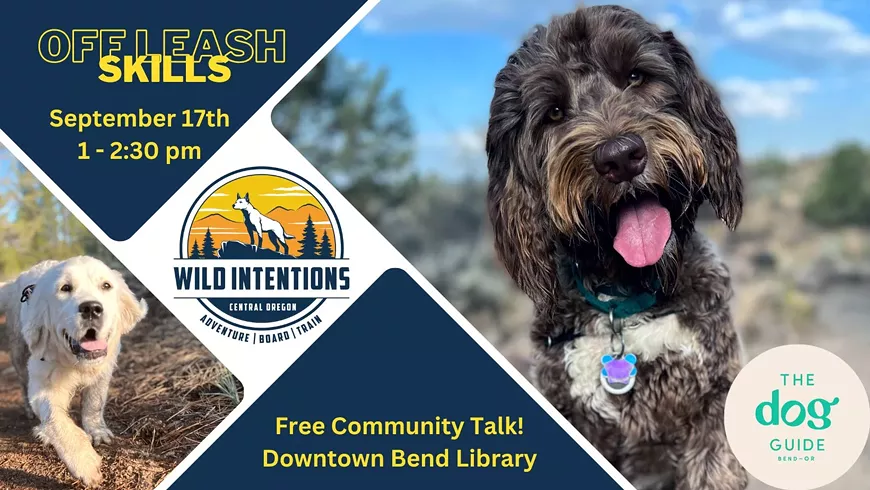 off_leash_skills_fb_cover.webp