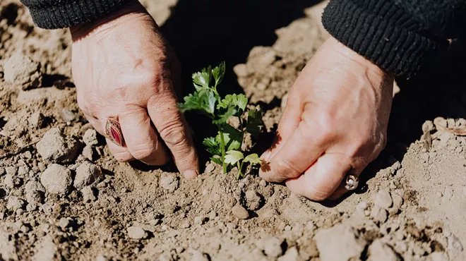 Image: Free Gardening Classes with OSU Master Gardeners