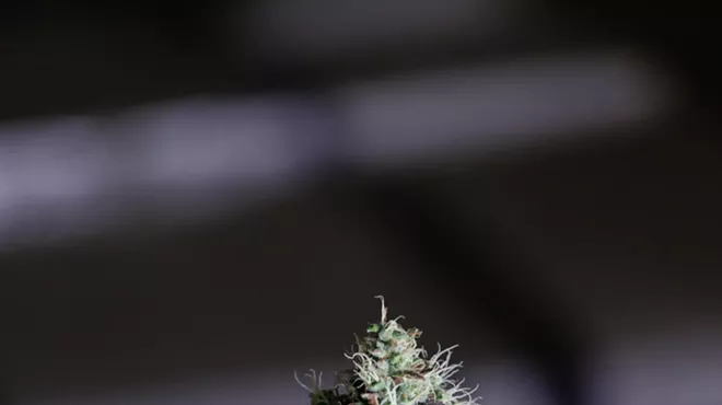 Image: From Reefer Madness to Legal Cannabis