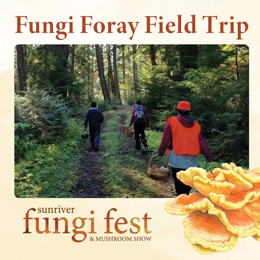fungifest-2025_fungiforayfieldtrip.webp