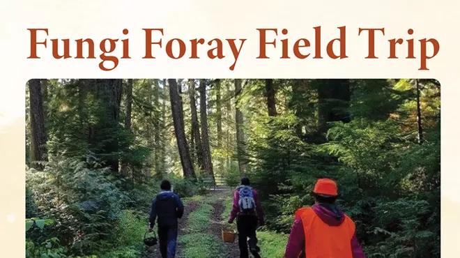 Image: Fungi Foray Field Trip