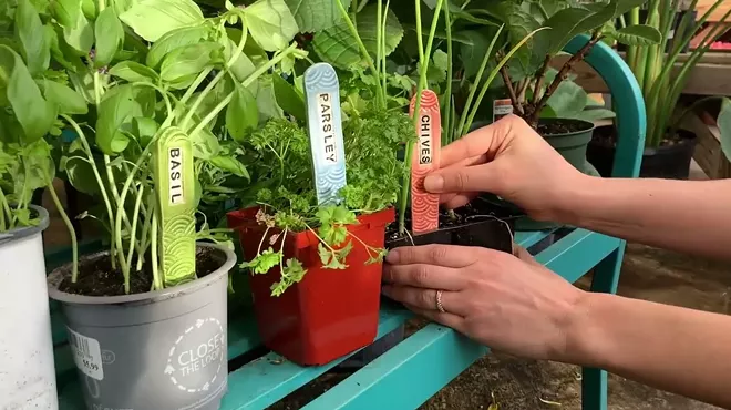 Image: Garden Pottery Workshop: Planters, Stakes, and Whimsical Mushrooms