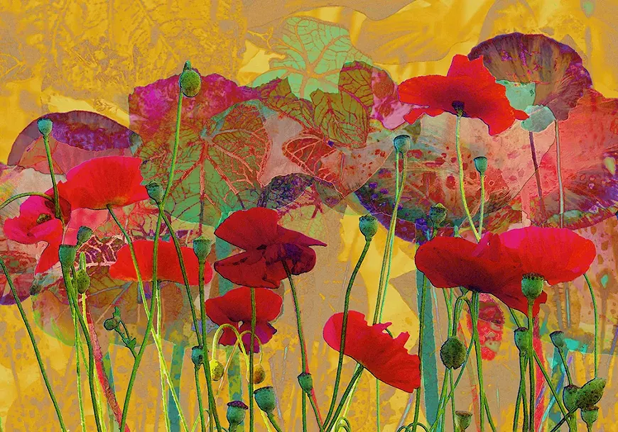 Poppies Waking from a Dream