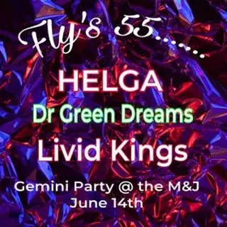 Image: Gemini Party 2024 Featuring HELGA, Dr Green Dreams & Livid Kings
