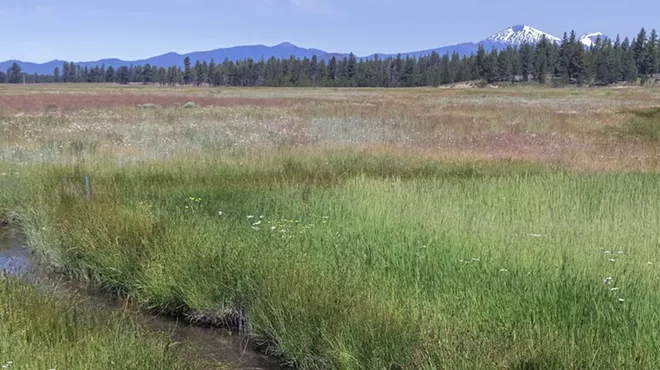 Image: Geology + Plant Hike