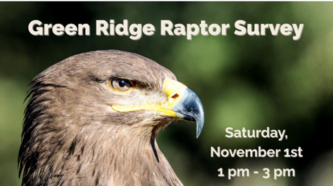 Image: Green Ridge Raptor Survey