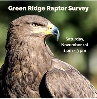 Image: Green Ridge Raptor Survey