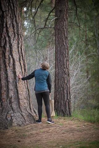 Image: Guided Forest Bath