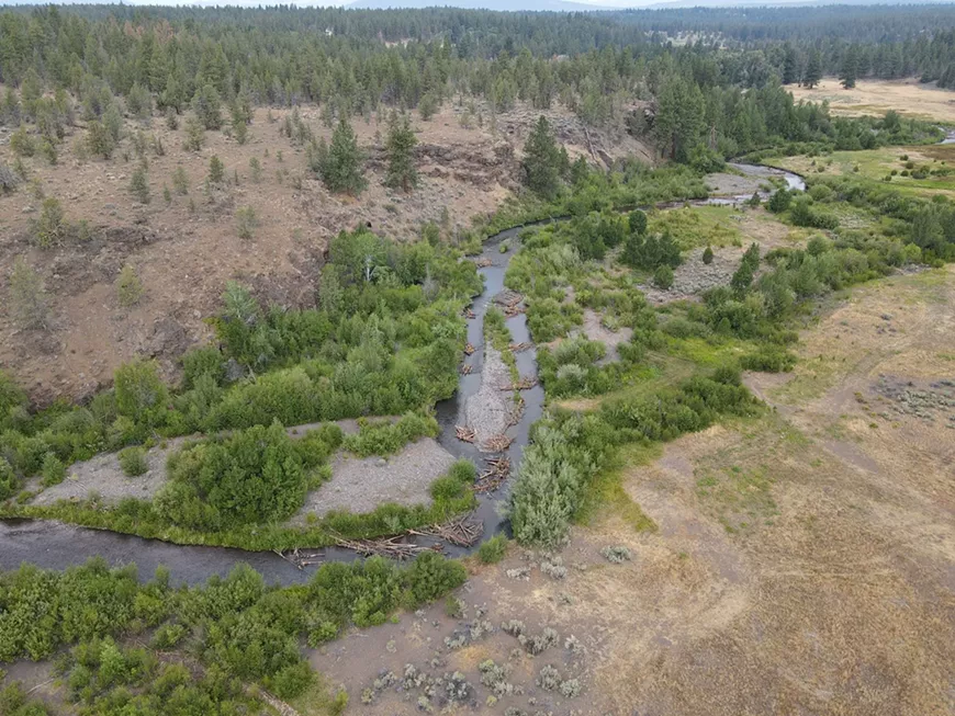 Restoration along Whychus Creek