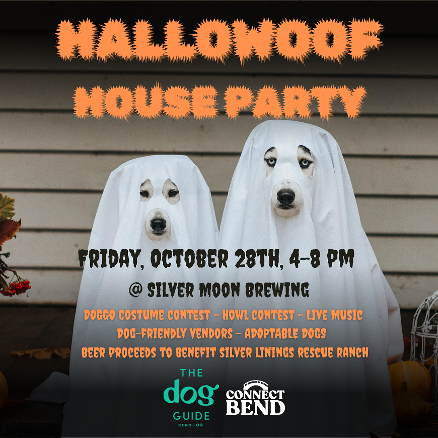 A Spooky Bend Dog Community Party!