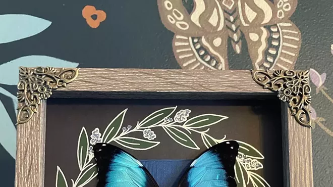 Image: Heirloom Framed Butterflies