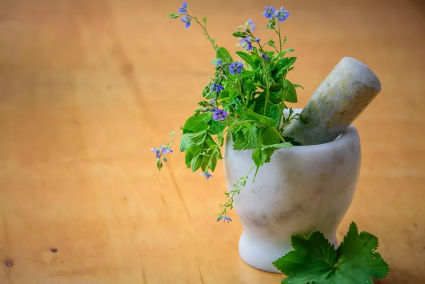 Learn to make herbal medicine and start your home apothecary!