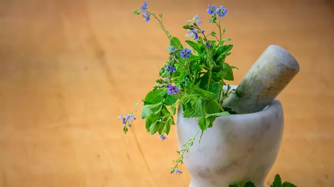 Image: Herbal Medicine Making Spring Series with Dr. Ashley