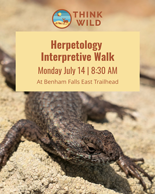 Image: Herpetology Interpretive Walk