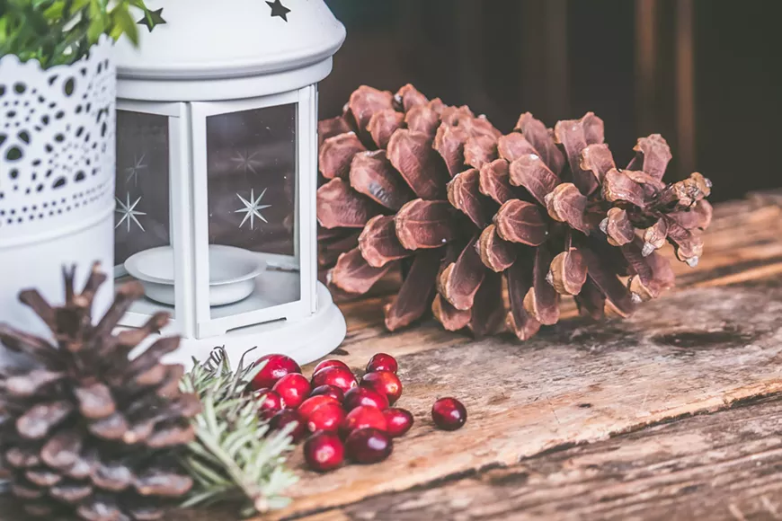 pexels-jessica-lewis-creative-699372.webp