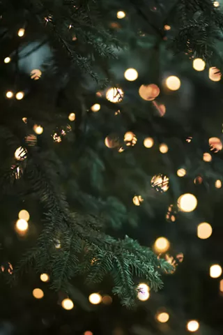 Image: Holiday Tree Lighting