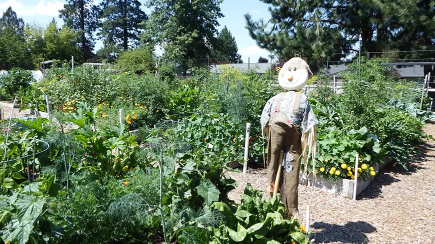 Hollinshead Community Garden
