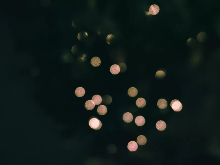 david-boca-uzrh7_xzmgs-unsplash.webp