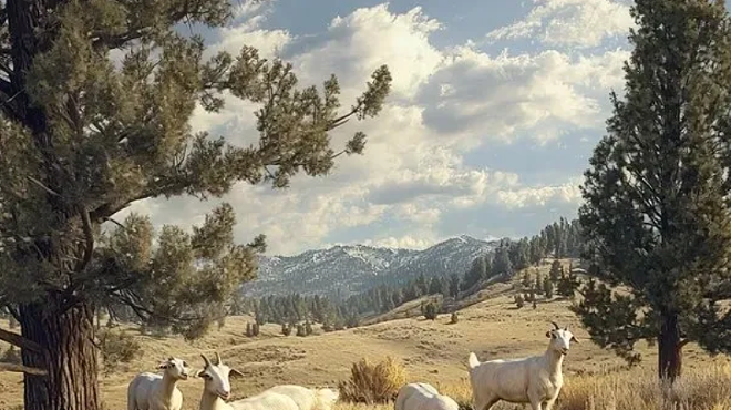 Image: Intro to Goat Cheese Making