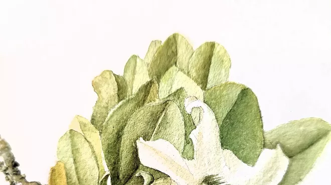 Image: Introduction to Botanical Illustration with Watercolors