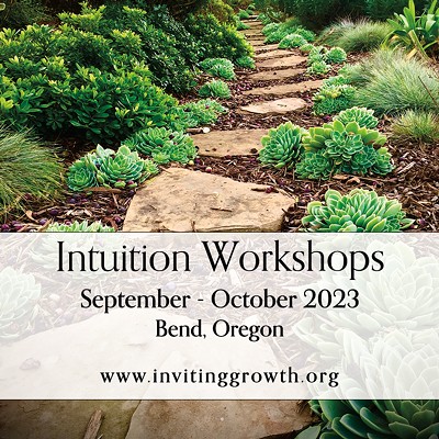 Intuition Workshop Series