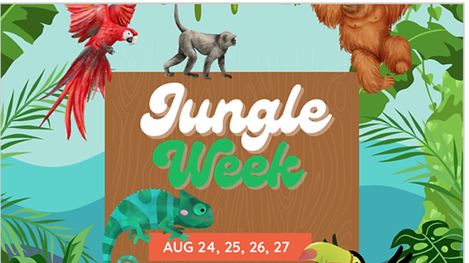 Image: Jungle Art Week