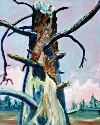 Image: Kelley Vernon, The Snag
