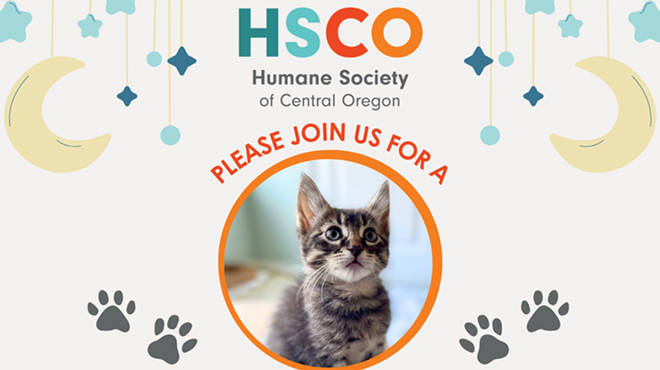 Image: Kitten Shower at the Humane Society of Central Oregon