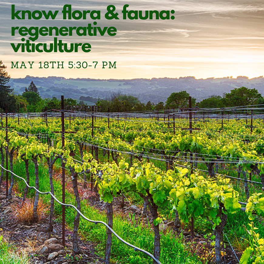 flora-fauna-regenerative-viticulture.png
