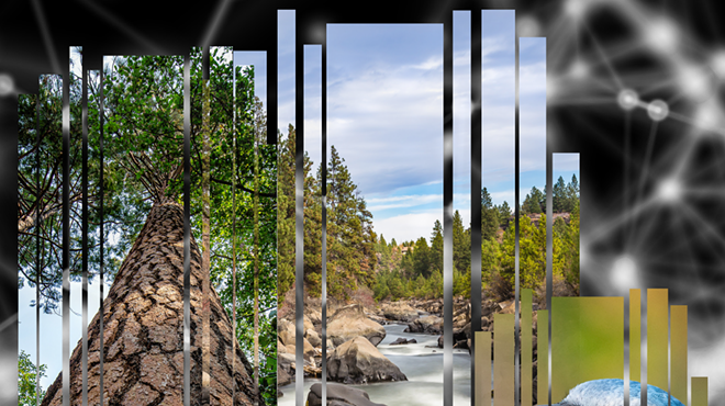 Image: Know Flora/Fauna: OSU Cascades Digital Flora & Fauna Reading