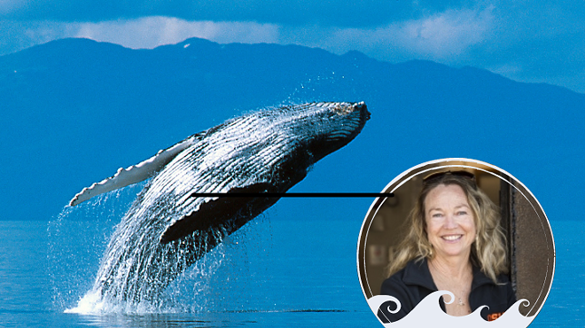 Image: Know Origins - Origin & Evolution of Whales