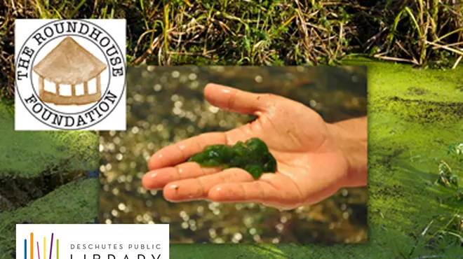 Image: Know Underwater: What Can Algae Tell Us?