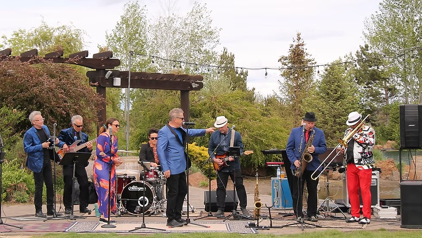 Live at the Vineyard: High Street Band Spring Fling!