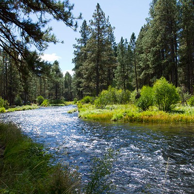 Locals' Staycation: Meandering Along the Metolius