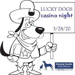 Lucky Dogs Casino Night