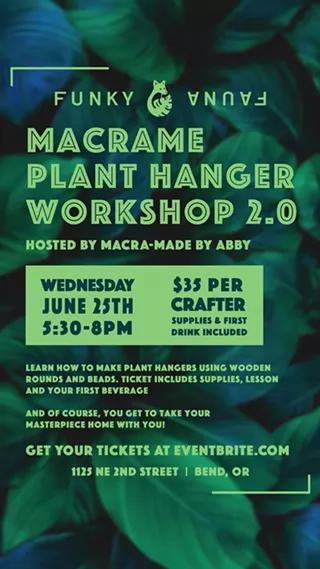 Image: Macrame Plant Hanger Workshop 2.0