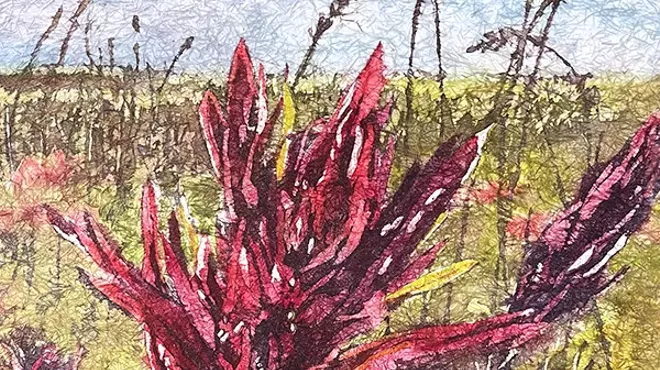 Image: May Exhibit Features Watercolors by Helen Brown