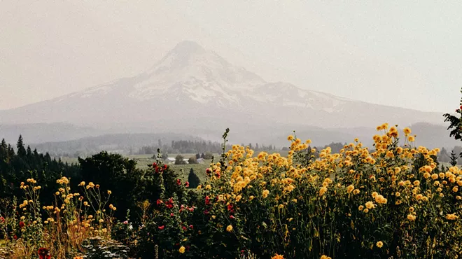 Image: Metolius River Preserve Hike