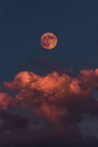 Image: Moon Vibes at AVID