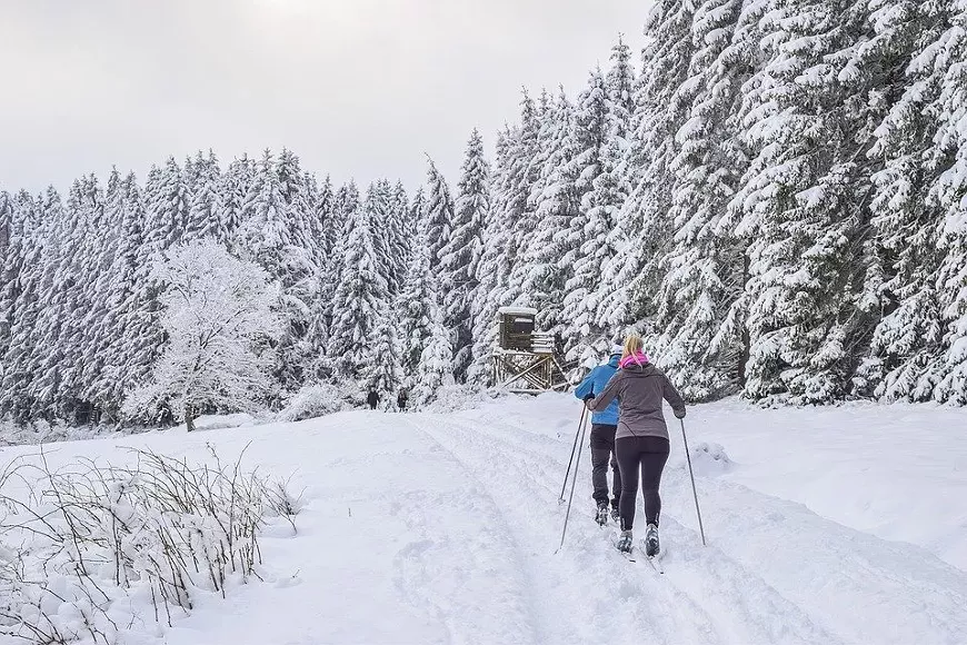cross-country-skiing-5908416_960_720.webp