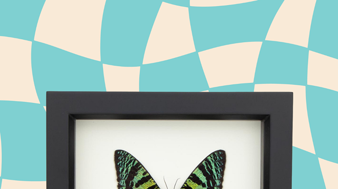 Image: Moth Pinning Workshop!