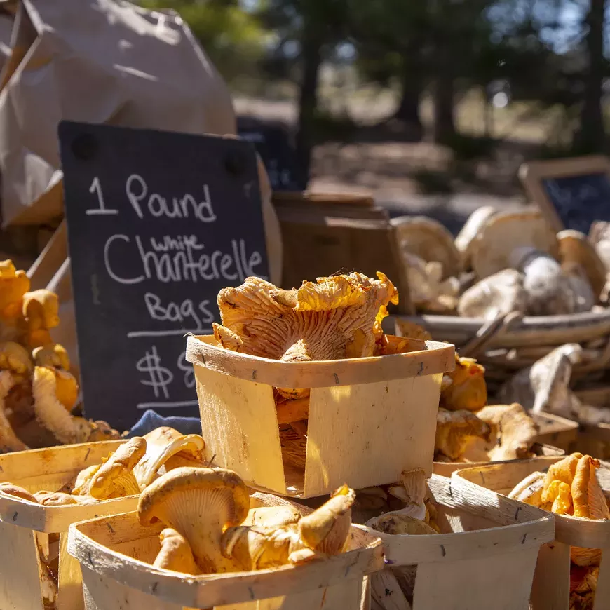 Fresh mushrooms and more available at the Mushroom Marketplace