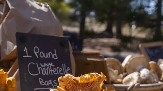 Image: Mushroom Marketplace