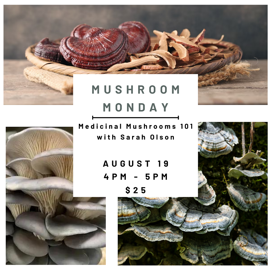 Fungi for Your Health!