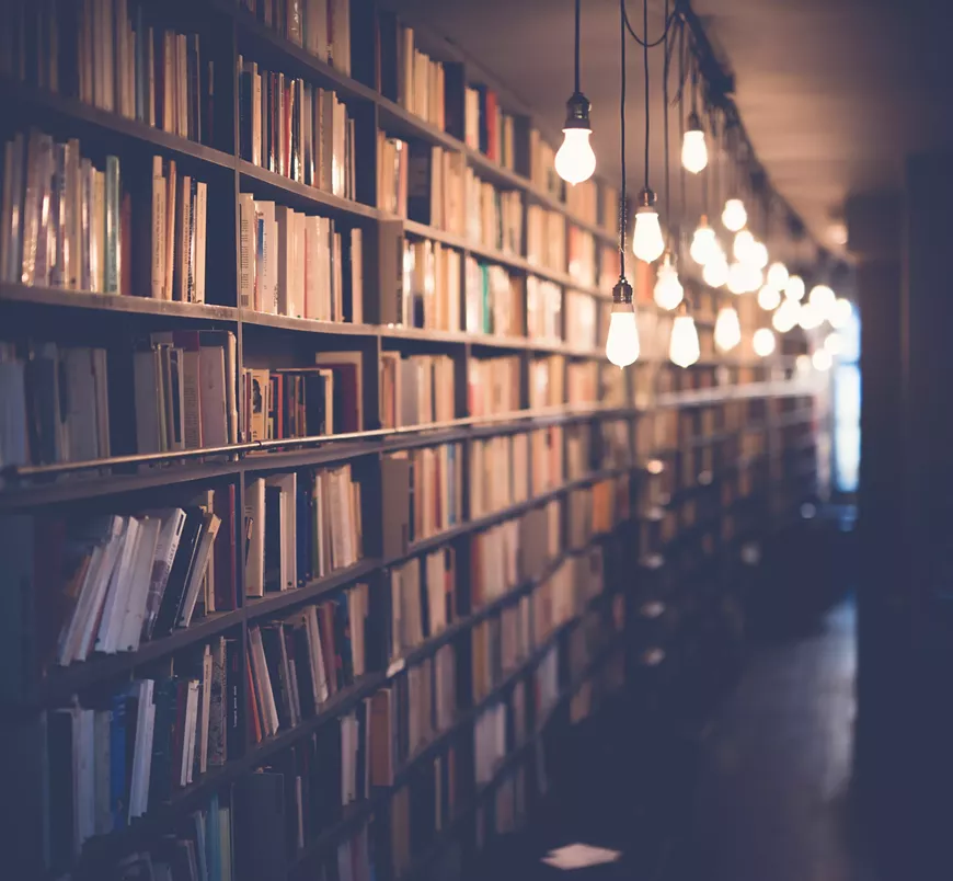janko-ferlic-sfl_qonmy00-unsplash.webp