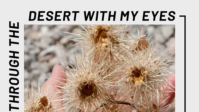 Image: Nancy Floyd: Walking Through The Desert with My Eyes Closed