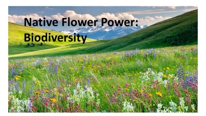 biodiversity-flower-power.png