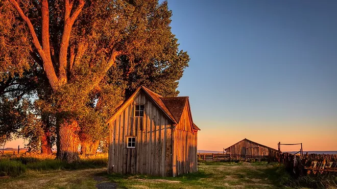 Image: Natural History Pub: Refuge Trees: Homestead-Era at Malheur