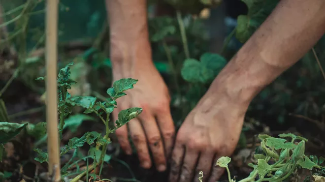 Image: Natural History Pub: The Recipe for Healthy Soil