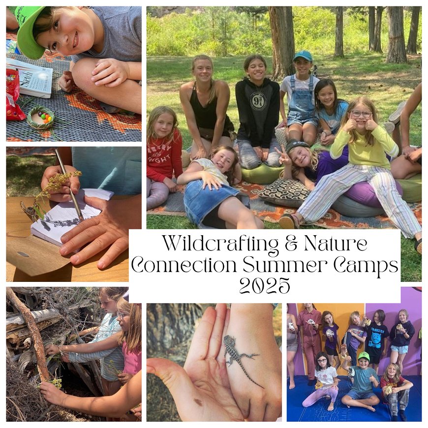2025 Summer Camps